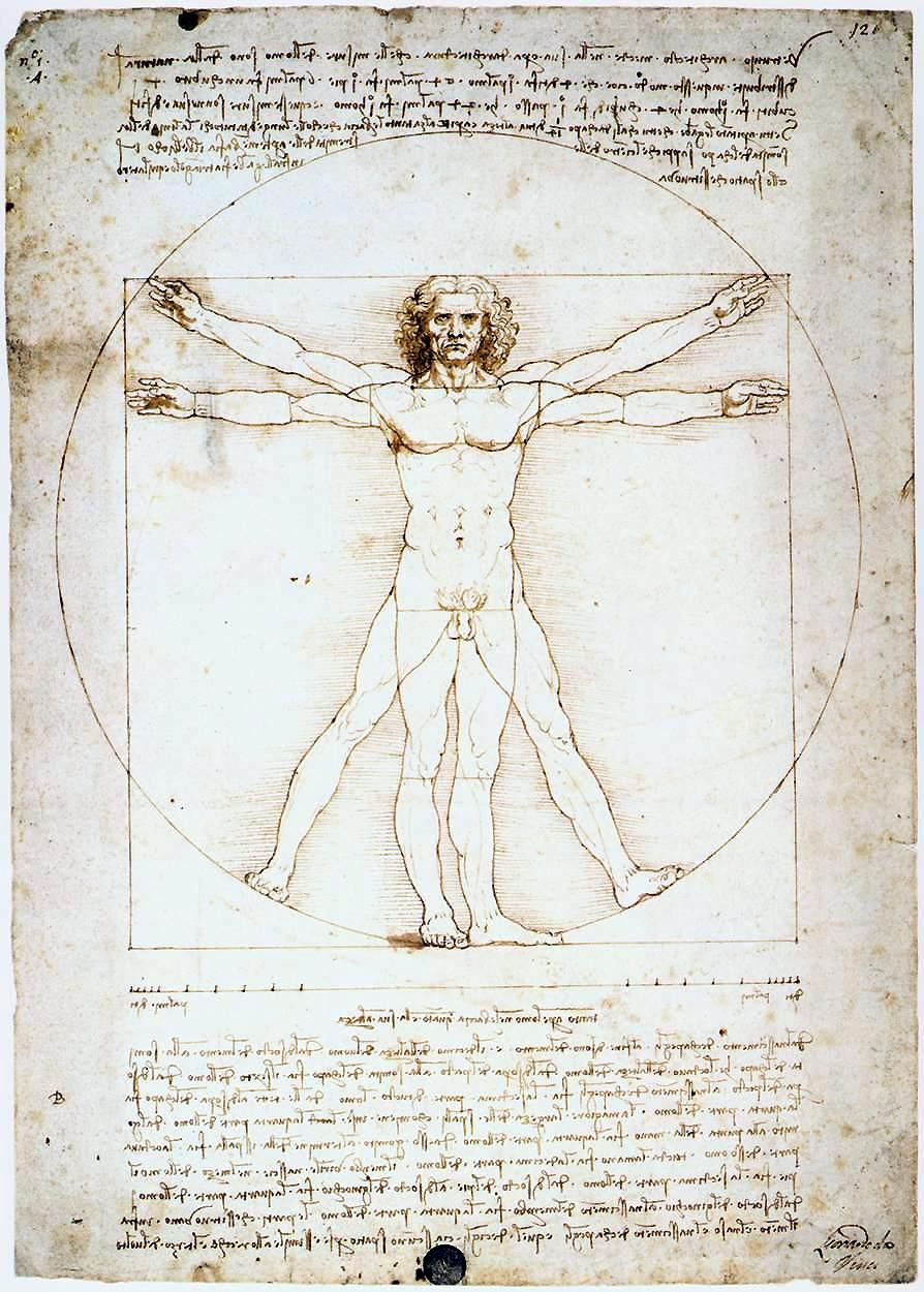 Vitruvian Man — Leonardo da Vinci, c.1490